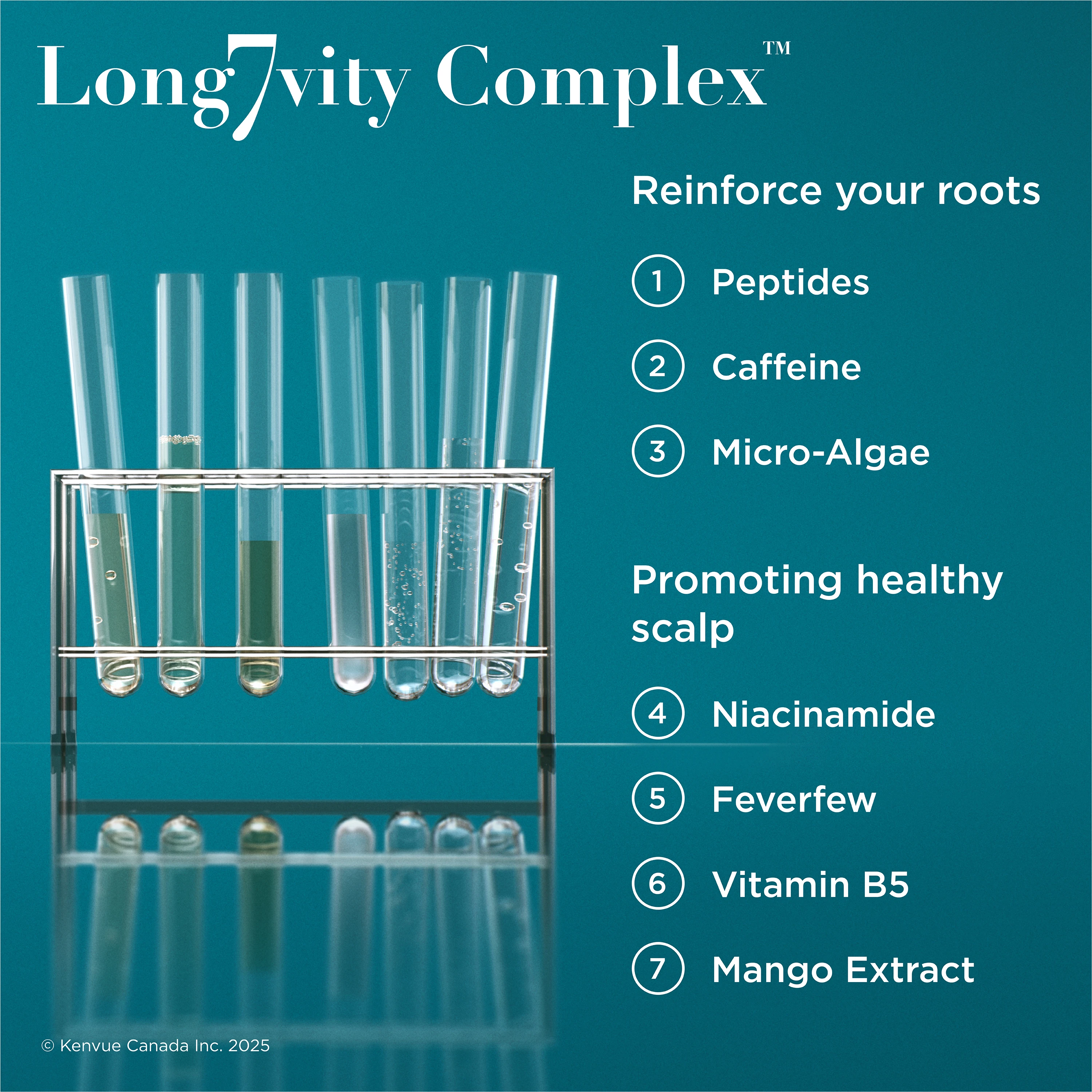 Enhanced digital image of OGX® ProGrowth + Peptide Scalp Serum 10mL bottle next to its packaging