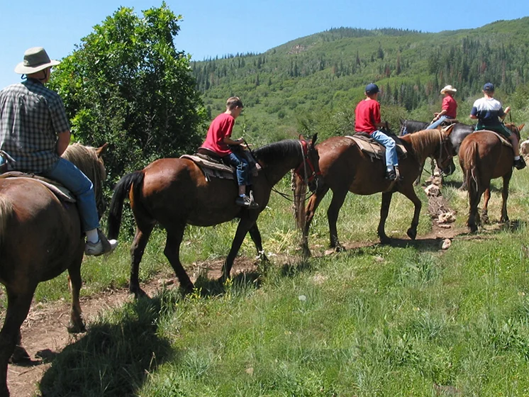 Group of people horseback riding through green hills.