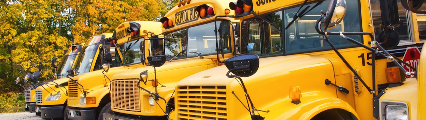 Yellow school buses lined up.