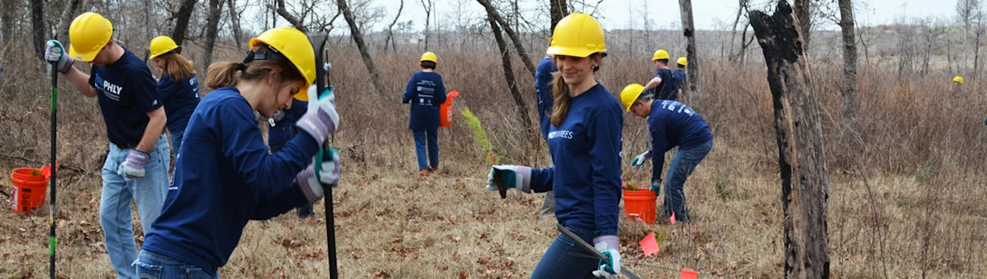 Group of volunteers in hard hats and gloves working on land restoration or conservation outdoors.