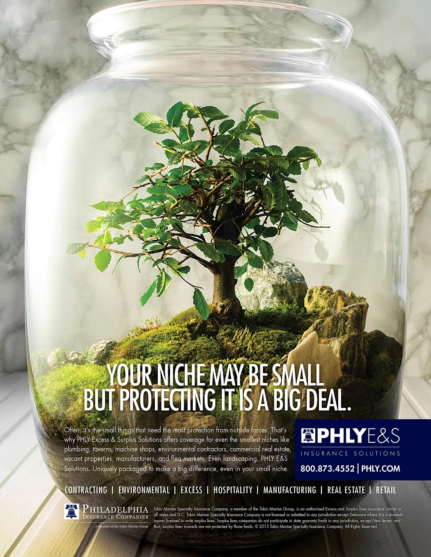 Excess and Surplus Advertisement Image 