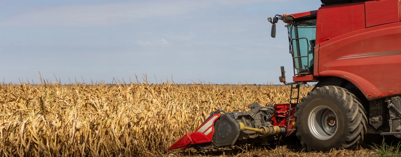 A commercial grain operator, who is covered by agribusiness insurance, harvests corn on a sunny day.