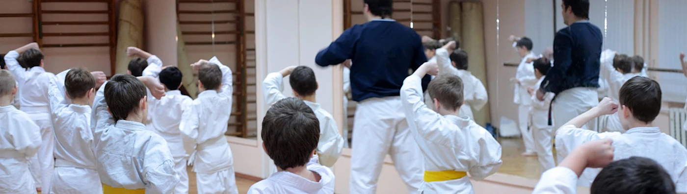 Group of young Martial Arts students practicing