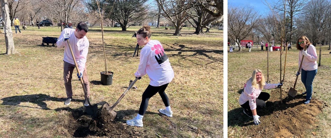 PHLY volunteers planting trees.