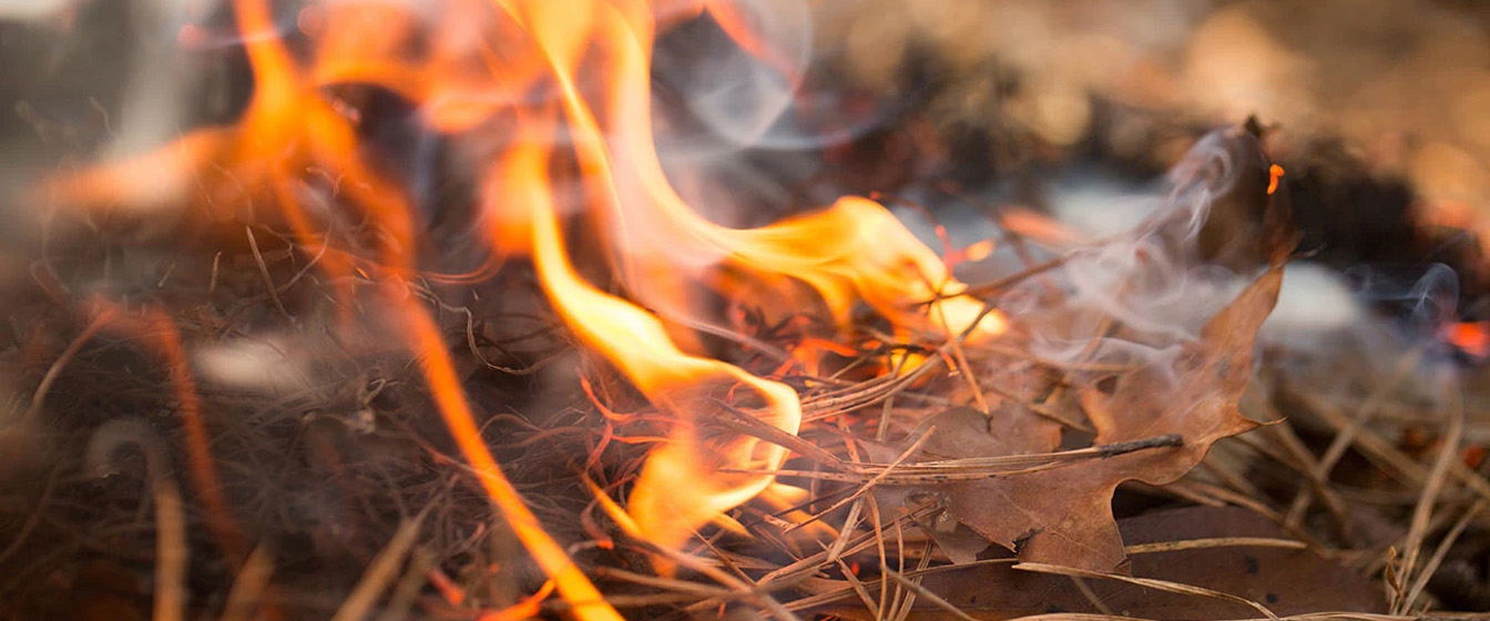 Dry leaves and pine needles burning on the ground with visible flames and smoke rising.