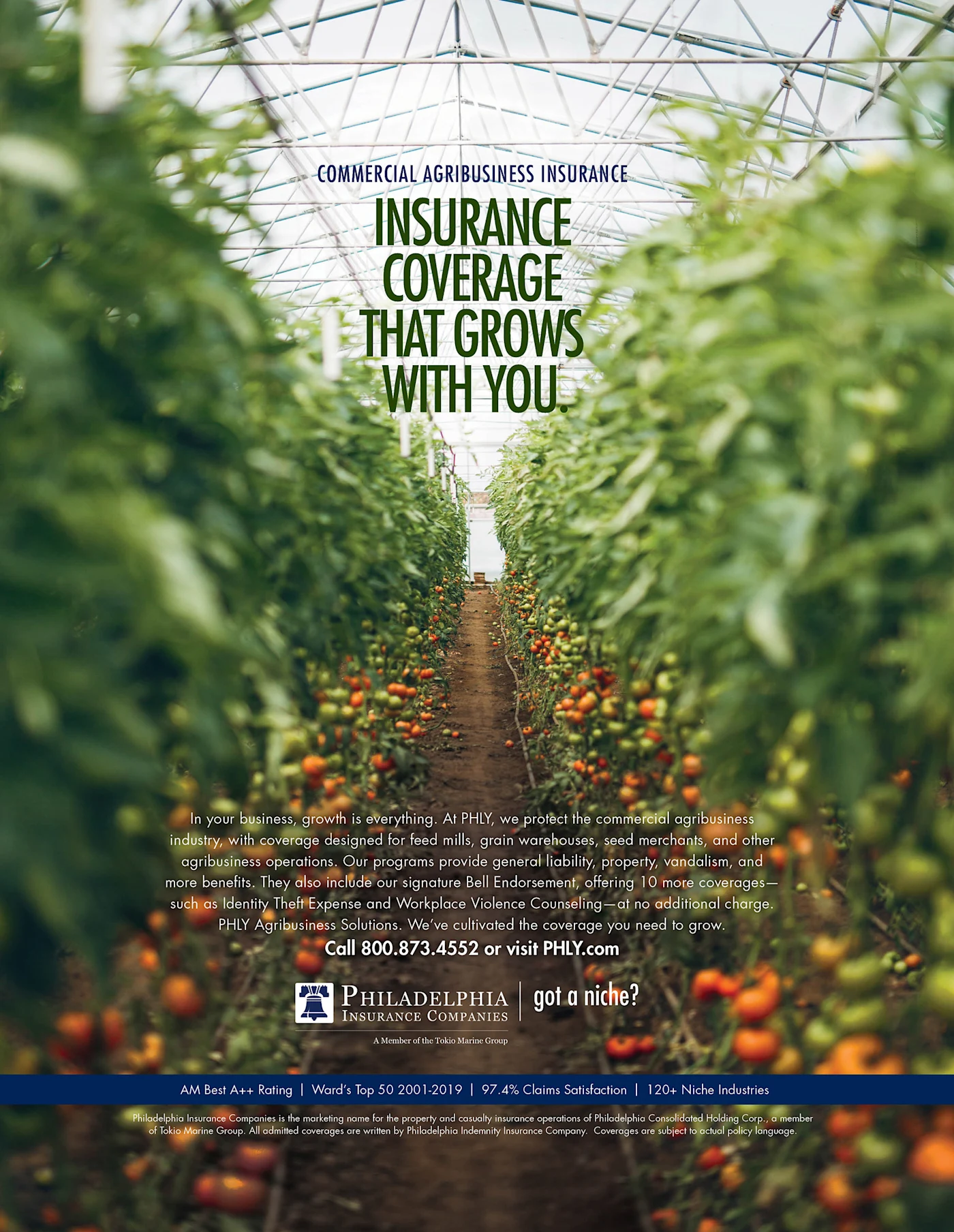 insurance coverage that grows with you