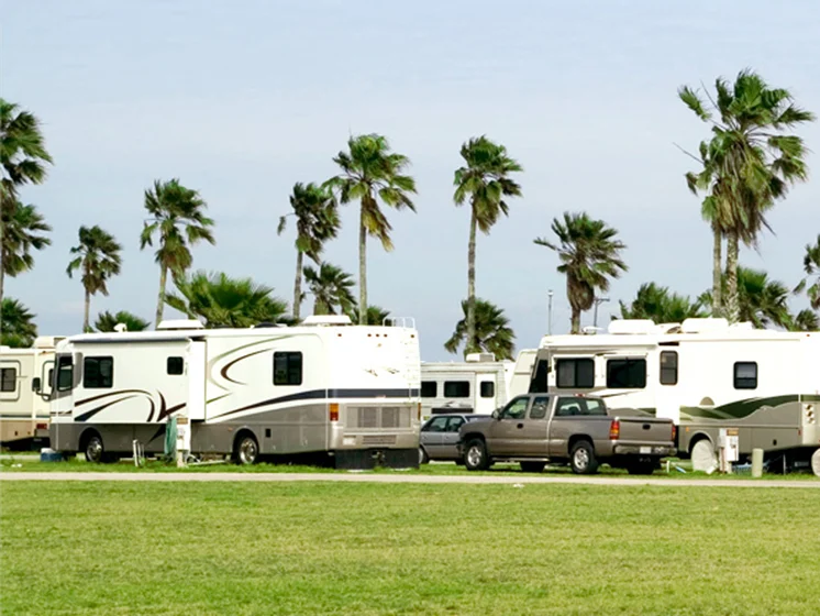 Row of RVs and trucks parked on grassy lots surrounded by palm trees under a clear sky.