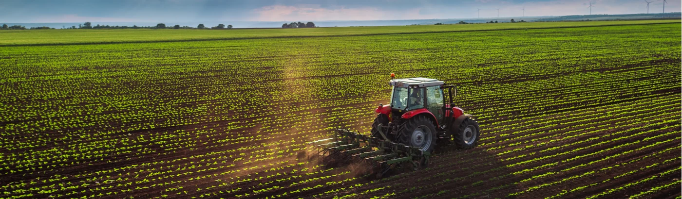Tractor works a field on a farm