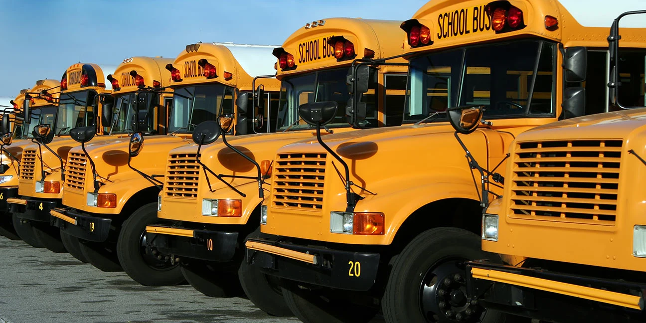 A row of bright yellow school buses parked in formation.
