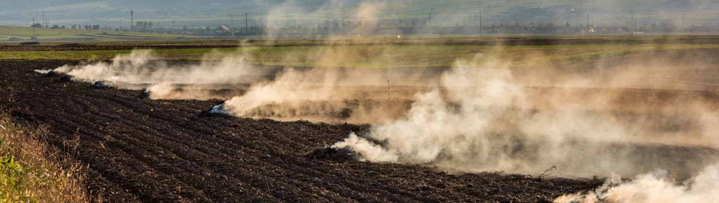 controlled burn of a field
