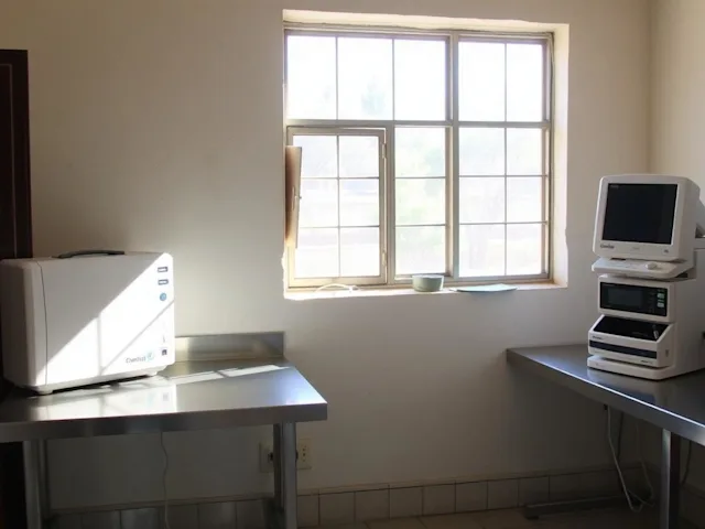Supporting healthcare delivery in rural Gambia