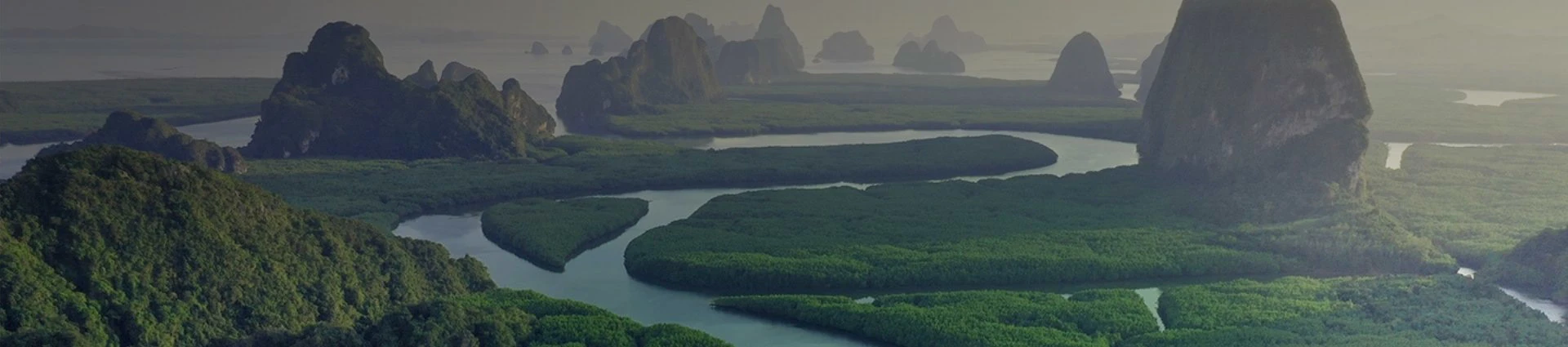 Vertical banner river running through nature and mountains