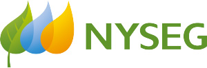 nysec