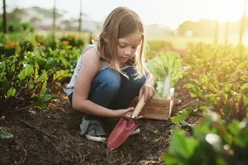 Little girl planting in a garden