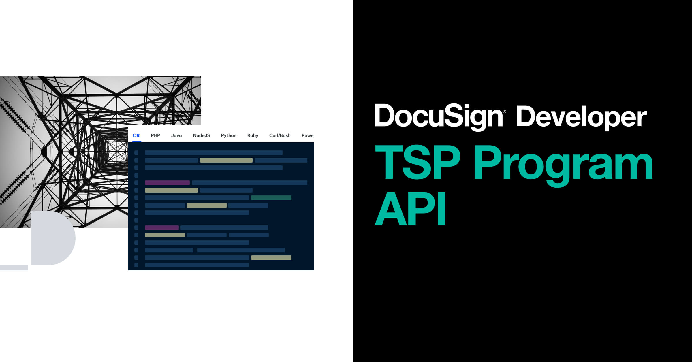 TSP 101 Overview Docusign