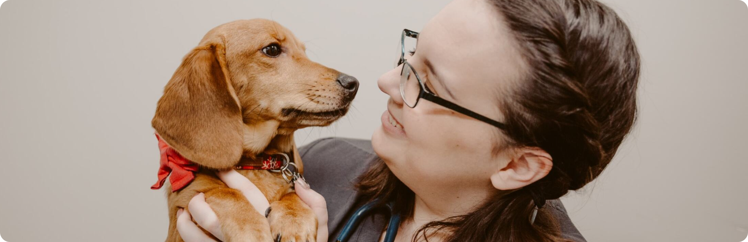 Eine Tierärztin wiegt einen kleinen Hund sanft in ihren Armen und zeigt eine herzerwärmende Bindung zwischen Mensch und Haustier.