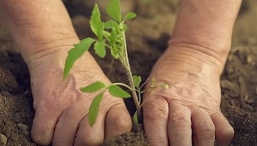 Eco-Friendly Packaging