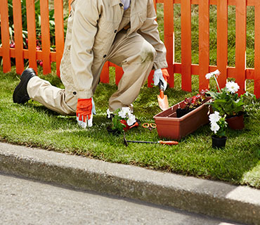 A person planting flowers in the garden