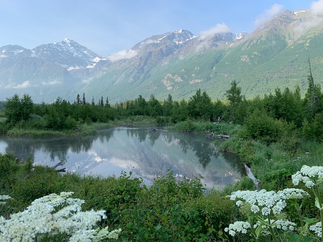 Alaskan Pond