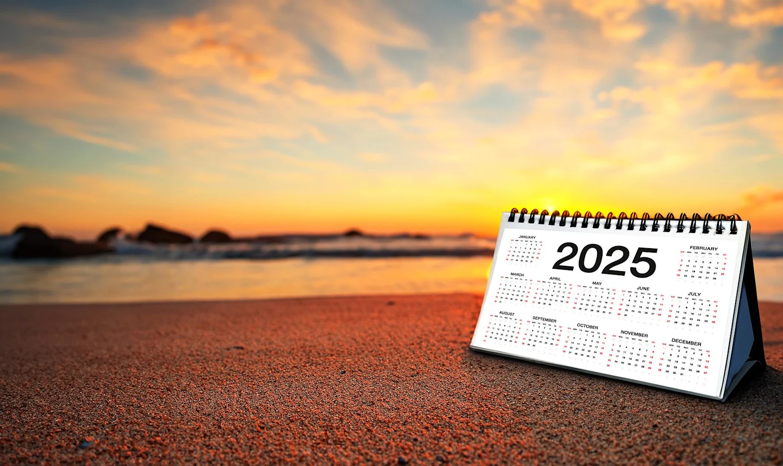 looking forward 2025