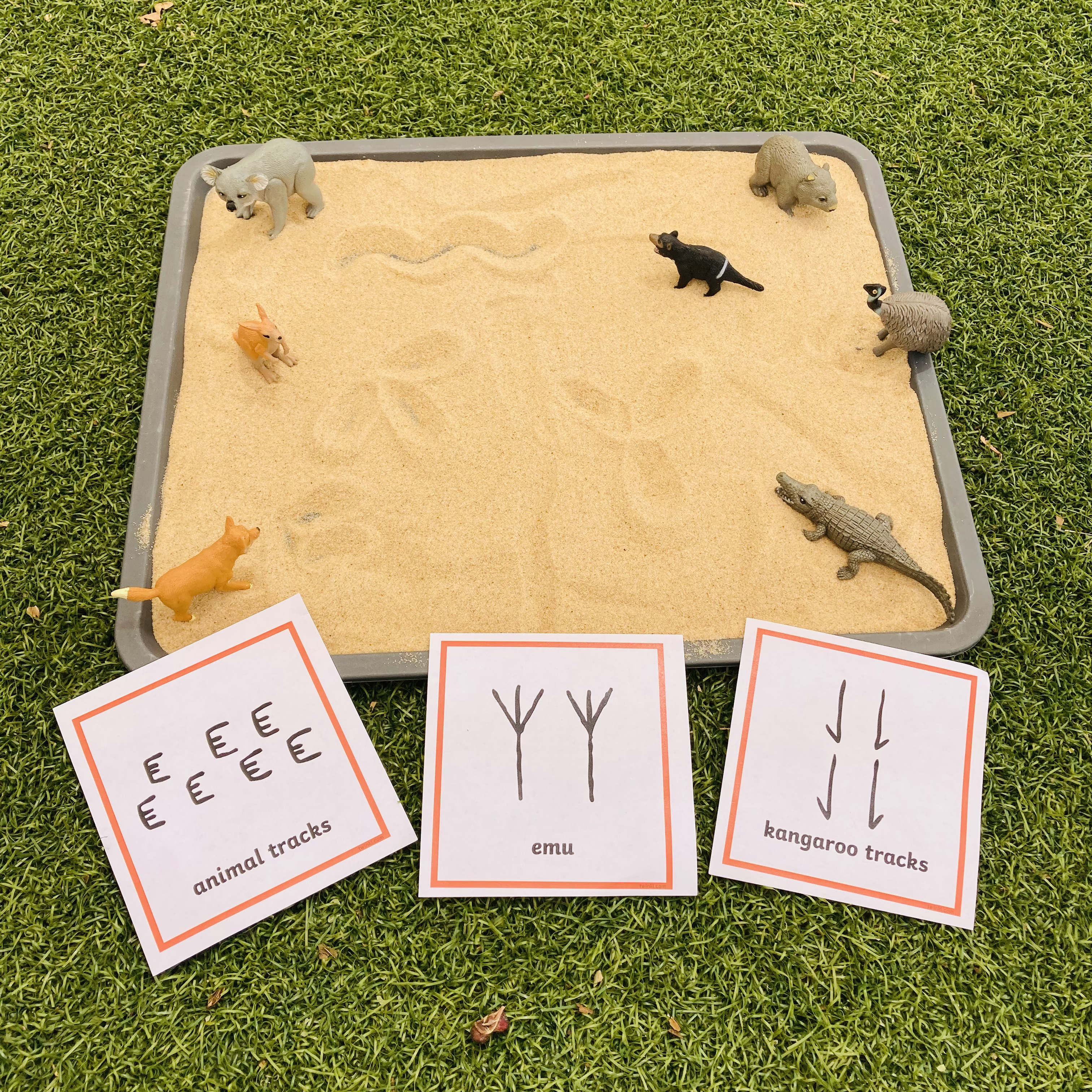 A fun reading lesson for grade 2 students that explores Indigenous Dreamtime stories. This lesson uses the story animals tracks and sand.