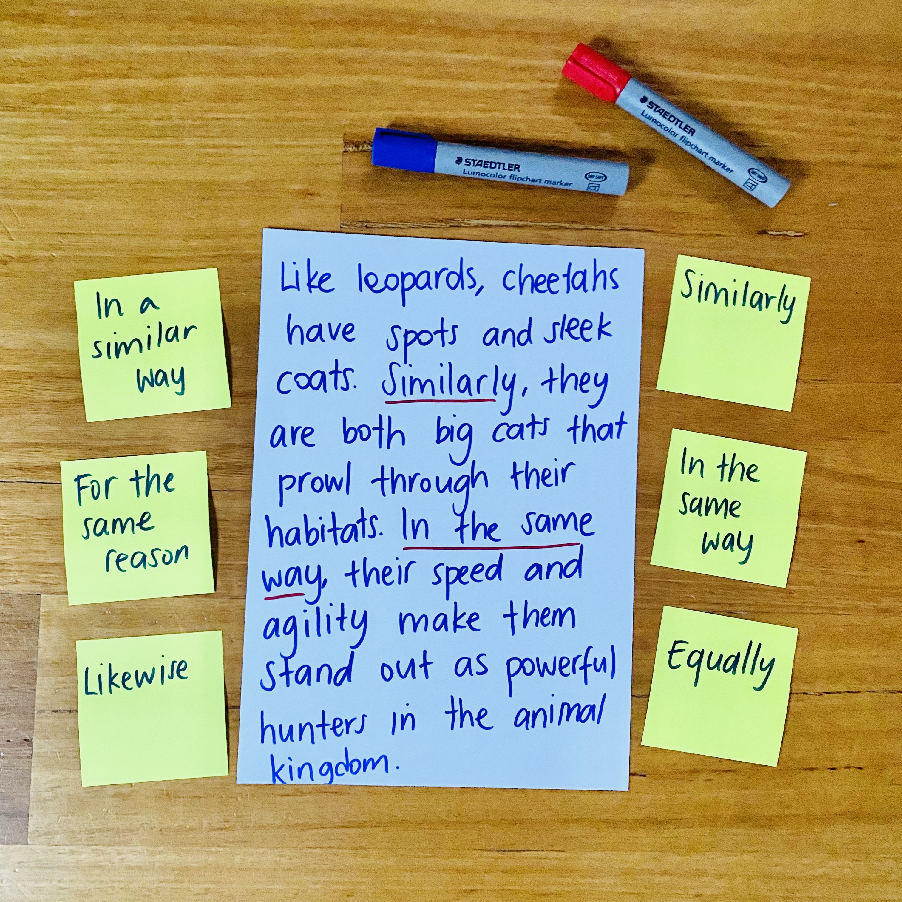 CB2-BOOK-FNF-IMG-Annie--Connectives to Show Similarities-L4square CB2-BOOK-FNF-IMG-Annie--Connectives to Show Similarities-L4square