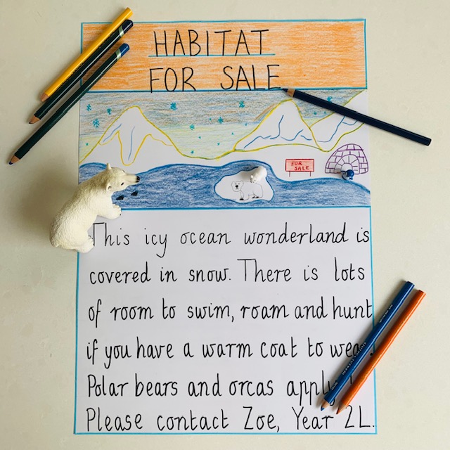 An engaging writing task that reflects students' thoughts about an animal habitat and the vocabulary that goes with it.  Here students have created a For Sale piece placing emphasis on the key features of one specific habitat.  Which animal will they be pitching to?