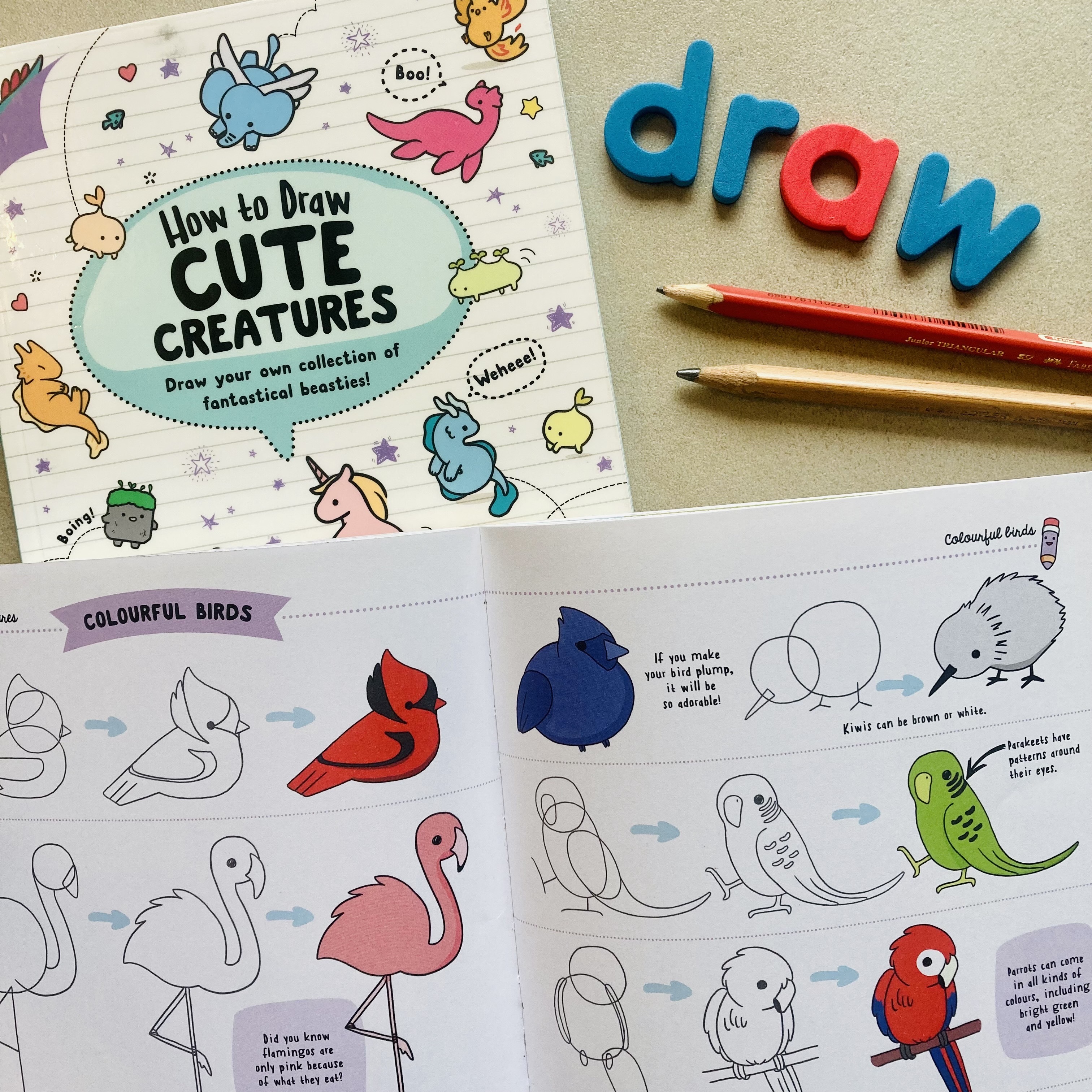 CB2-PHON-PHGR-IMG-ML--Phonic Companion Set 5 - Focus aw-L5