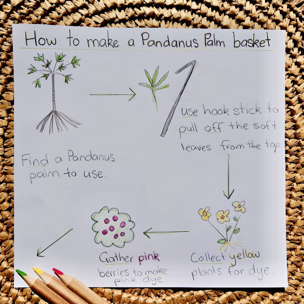 Using the text as inspiration, students draw and write about the method for making a Pandanus Palm basket. Bossy verbs are used to begin each step of the process and are able to explain why these verbs are useful for the reader.