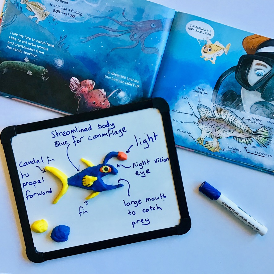 A fun reading lesson for grade 5 students that explores animal adaptations. This lesson focuses on fish where students use information texts to research and then design and create their own fish using playdough.