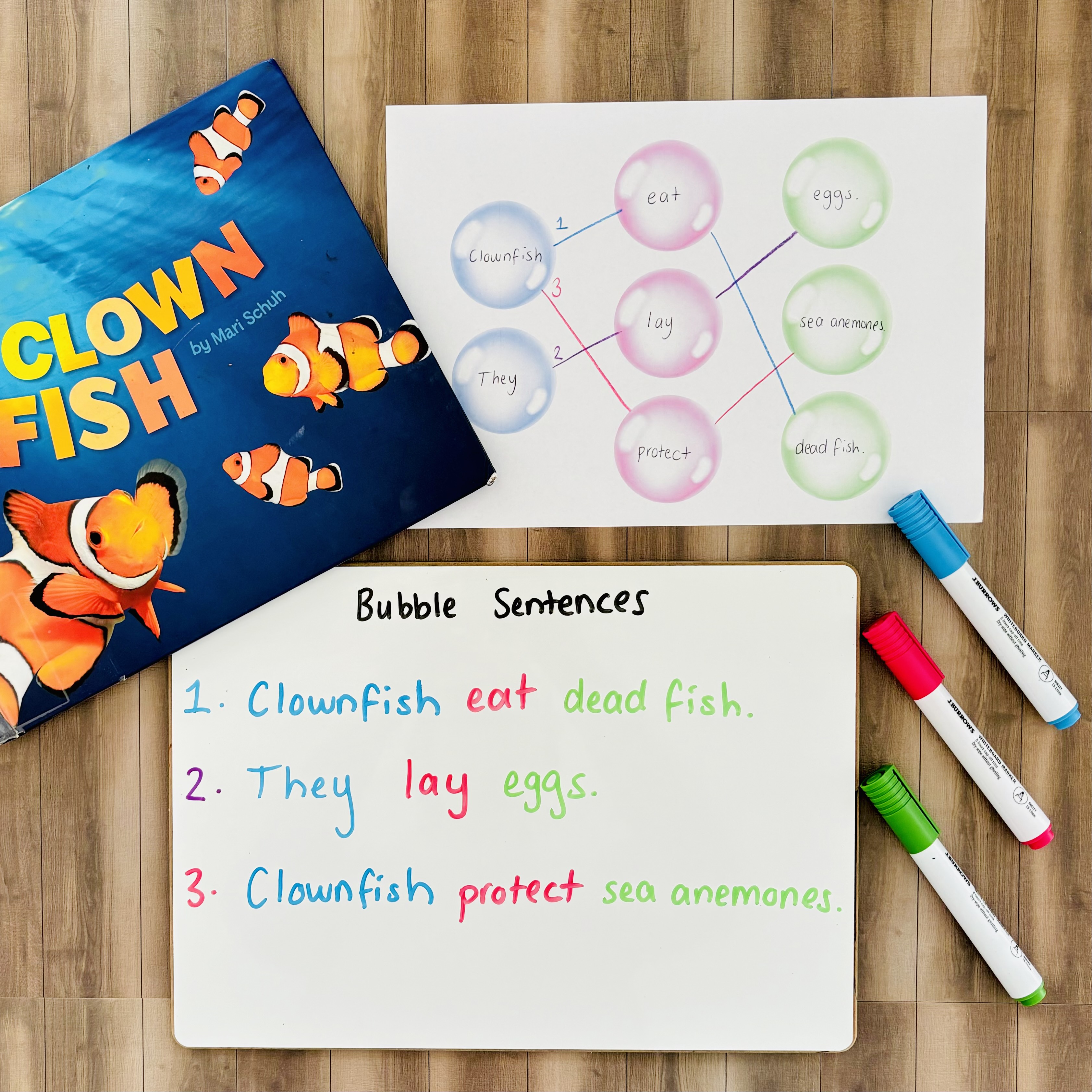 CB2--IMG-Tamara--Let-s Dive Into Writing - Bubble Sentences-L3 CB2--IMG-Tamara--Let-s Dive Into Writing - Bubble Sentences-L3