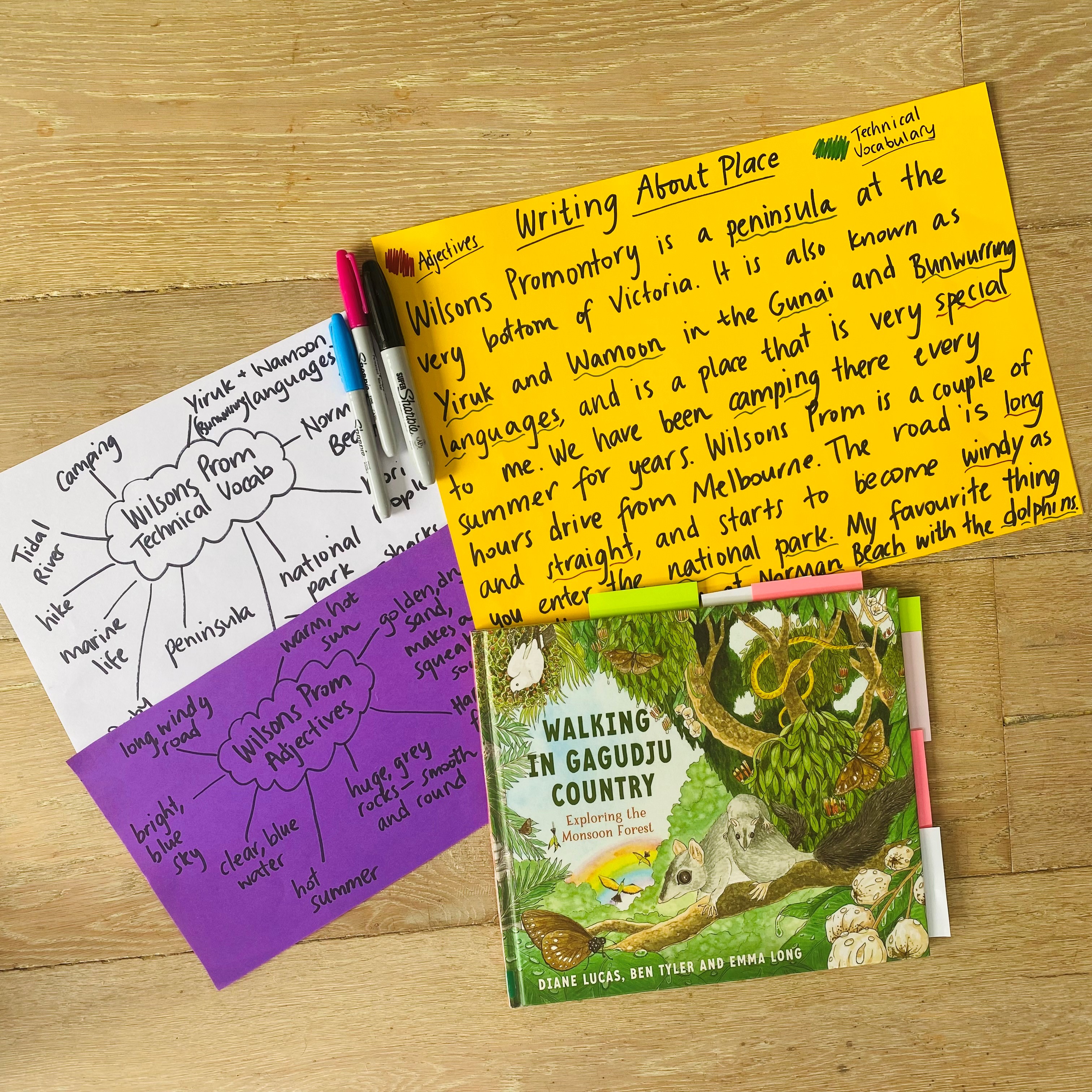 A fun writing lesson for grade 3-6 to develop students’ ability to incorporate adjectives and technical vocabulary into a writing piece describing a place that is special to them, and close to their hearts. Students’ writing will be inspired by Ben Tyler and Diane Lucas’ wonderful text, “Walking in in Gagudju Country” which takes students on a walking tour through the Monson Forest in Kakadu. The text embeds the Kundjeyhmi language into the narrative, which is one of the native Indigenous dialects spoken in this particular part the Northern Territory. Here we have an example of the start of a class writing piece, about Wilsons Promontory in Victoria, with adjectives and technical vocabulary brainstormed prior.