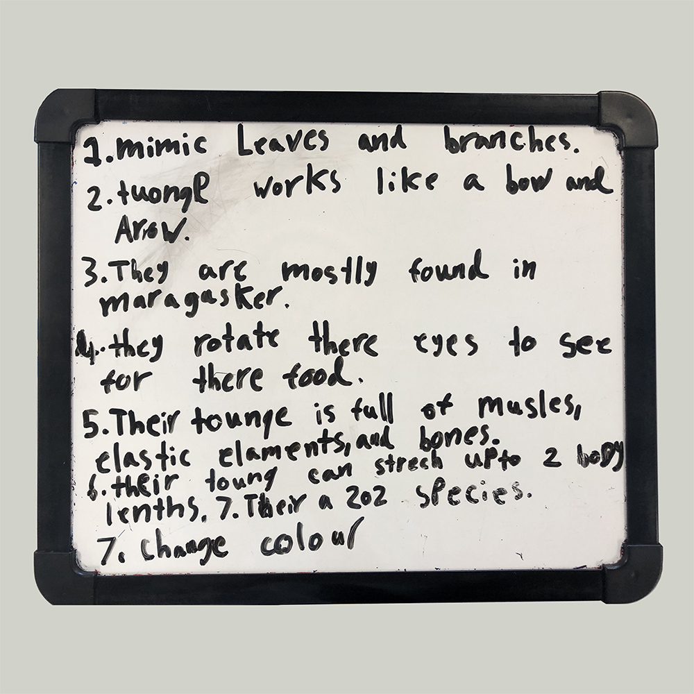 A fun reading lesson for grade 3 students that guides students to becoming fact finders whilst practising the comprehension strategy summarising. A fun reading lesson for grade 3 students that guides students to becoming fact finders whilst practising the comprehension strategy summarising.
