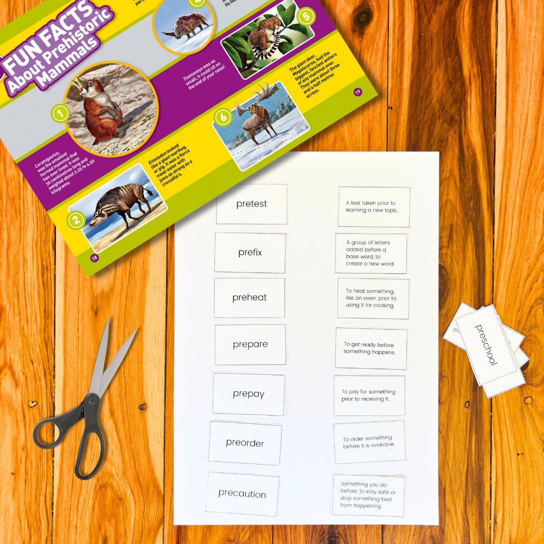 CB2--IMG-Tamara--Derivational Morphemes - Prefix ‘pre-’-L3