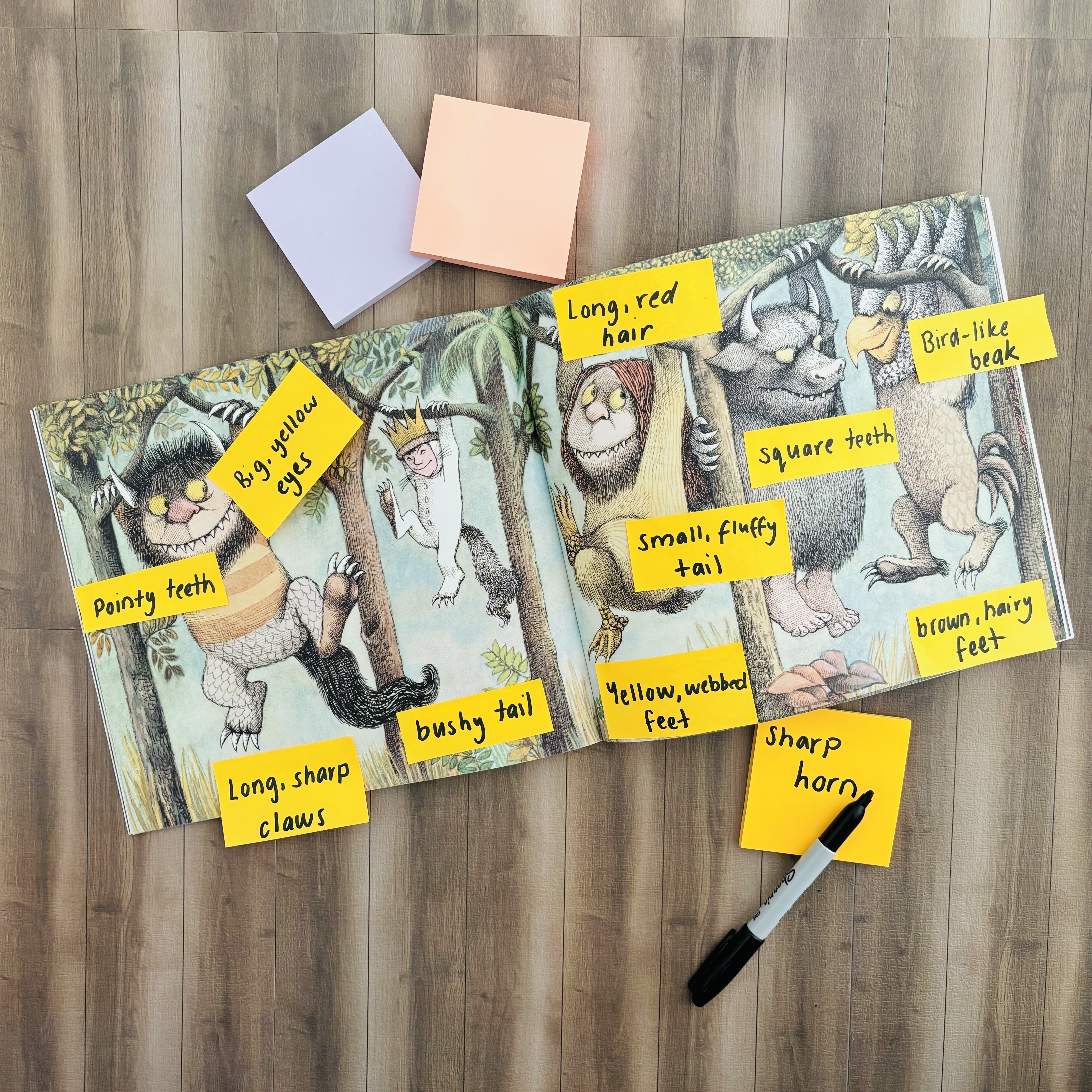 CB2--IMG-Tamara--Where The Wild Things Are Character Creation - ‘Outside’ Character Traits-L2 CB2--IMG-Tamara--Where The Wild Things Are Character Creation - ‘Outside’ Character Traits-L2