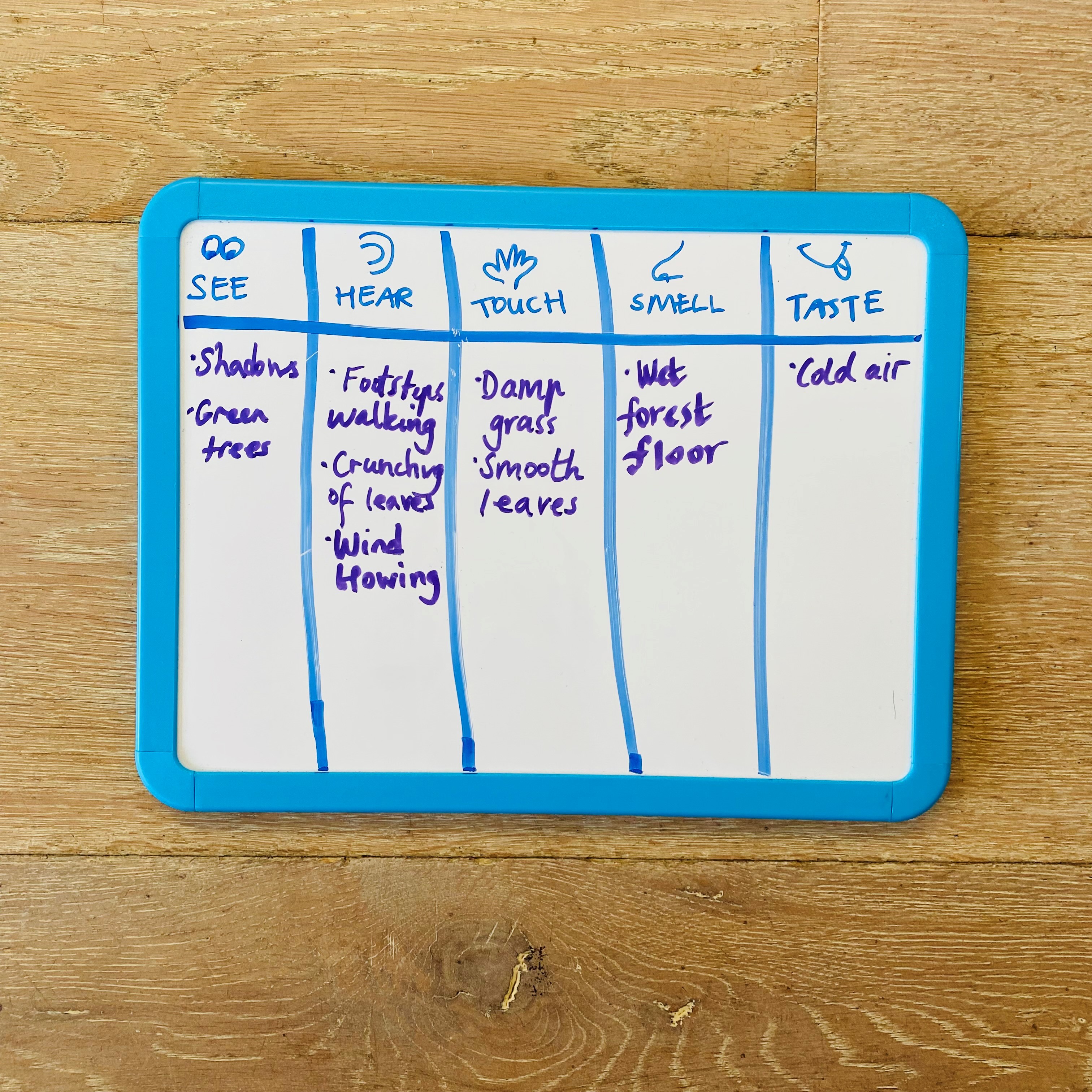 A fun reading lesson for year 3 and 4 students that steps students through understanding how our senses can help to create a visualisation of a setting. A fun reading lesson for year 3 and 4 students that steps students through understanding how our senses can help to create a visualisation of a setting.