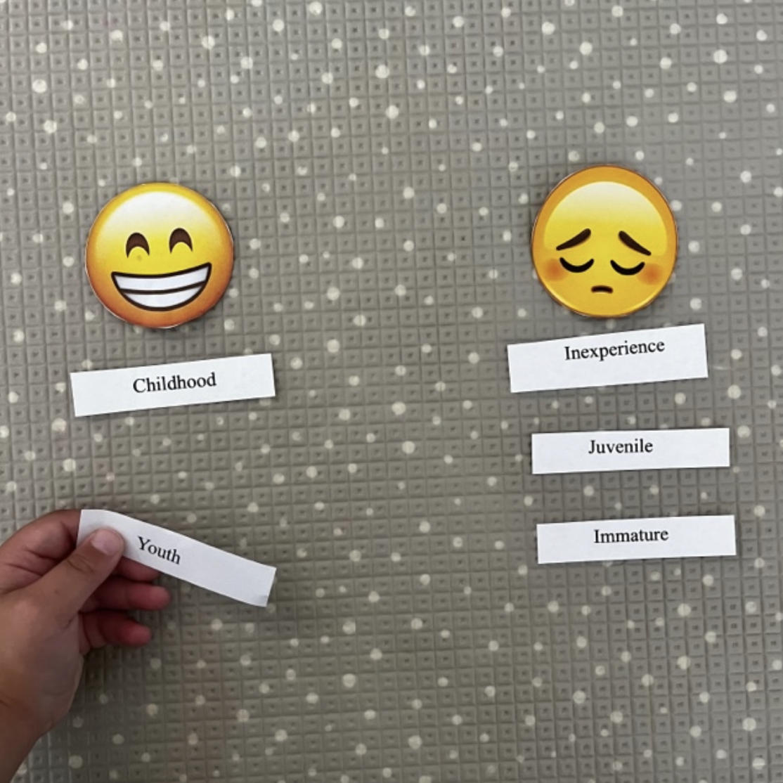 A fun vocabulary lesson for grade 3 and 4 students that explores connotations of words and their synonyms. Students will analyse words by putting them into different contexts and make a decision as to the feelings, emotions and moods they connote.