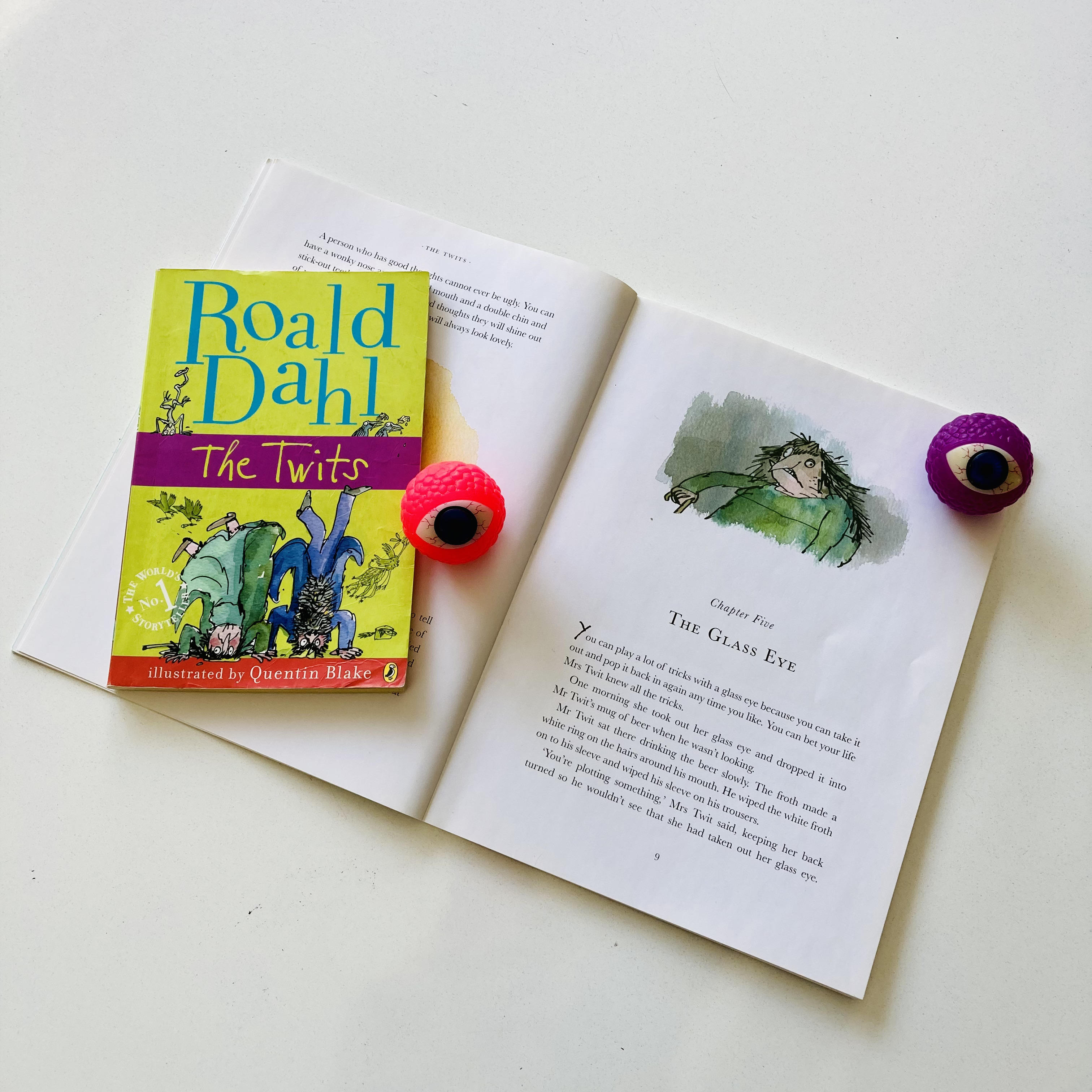 A fun reading lesson for grade 3 and 4 students that explores using expression and intonation when reading aloud. This lesson uses The Twits by Roald Dahl.