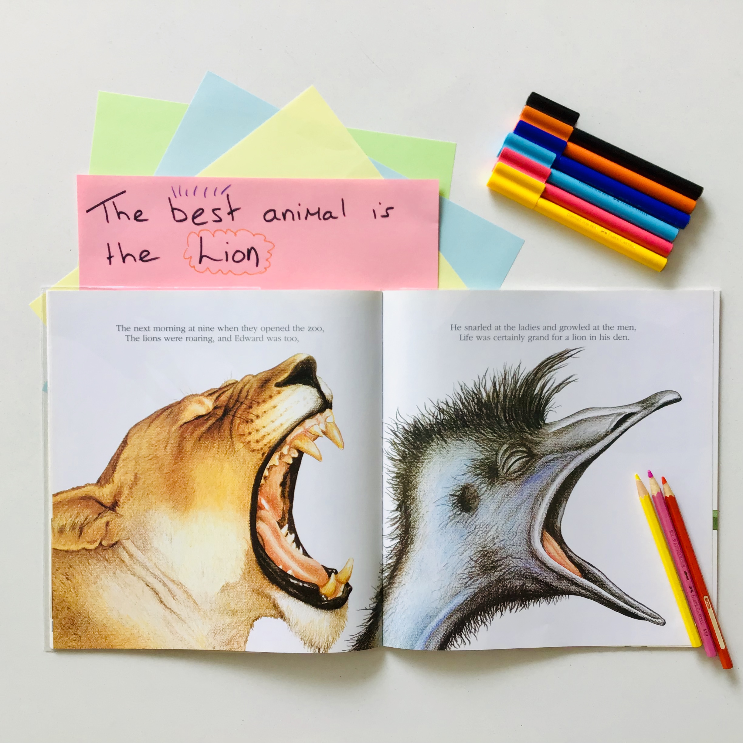 A fun reading lesson for grade 2 students that explores the language around persuasion. This lesson uses the book Edward the Emu by Sheena Knowles.