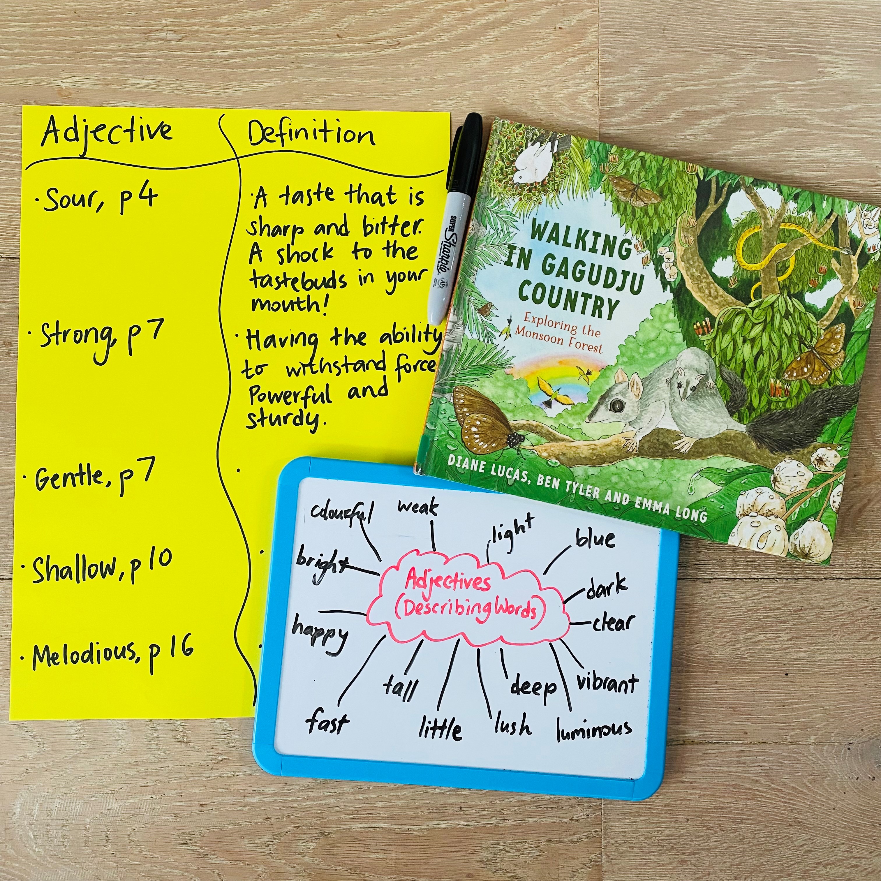 A fun reading lesson for grade 3-6 to develop students’ ability to identify and understand adjectives. Students read Ben Tyler and Diane Lucas’ wonderful text, “Walking in in Gagudju Country” which takes students on a walking tour through the Monson Forest in Kakadu. The text embeds the Kundjeyhmi language into the narrative, which is one of the native Indigenous dialects spoken in this particular part the Northern Territory. Here we have the start of a class anchor chart.