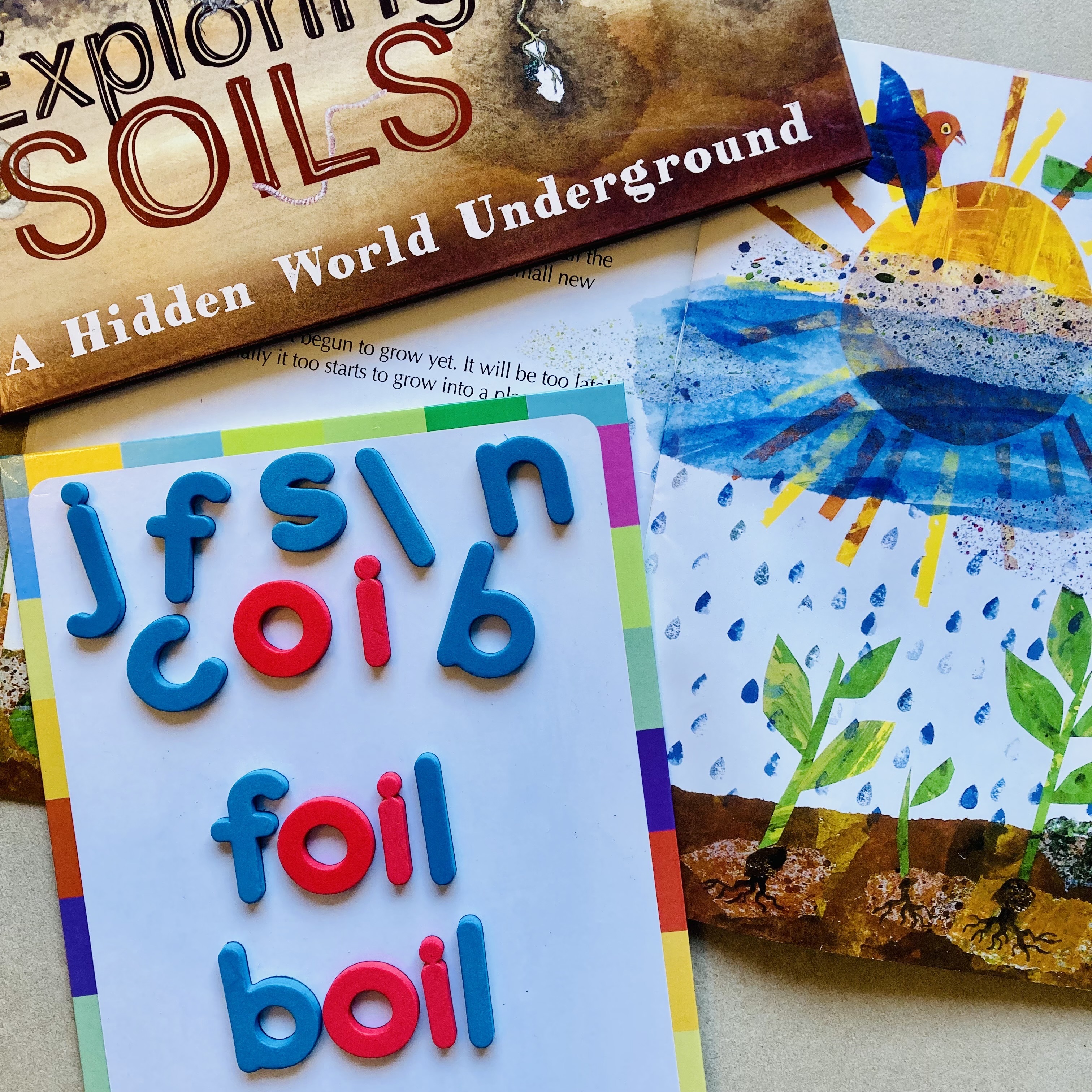 CB2-PHON-PHGR-IMG-ML--Phonic Companion Set 5 - Focus oi-L1