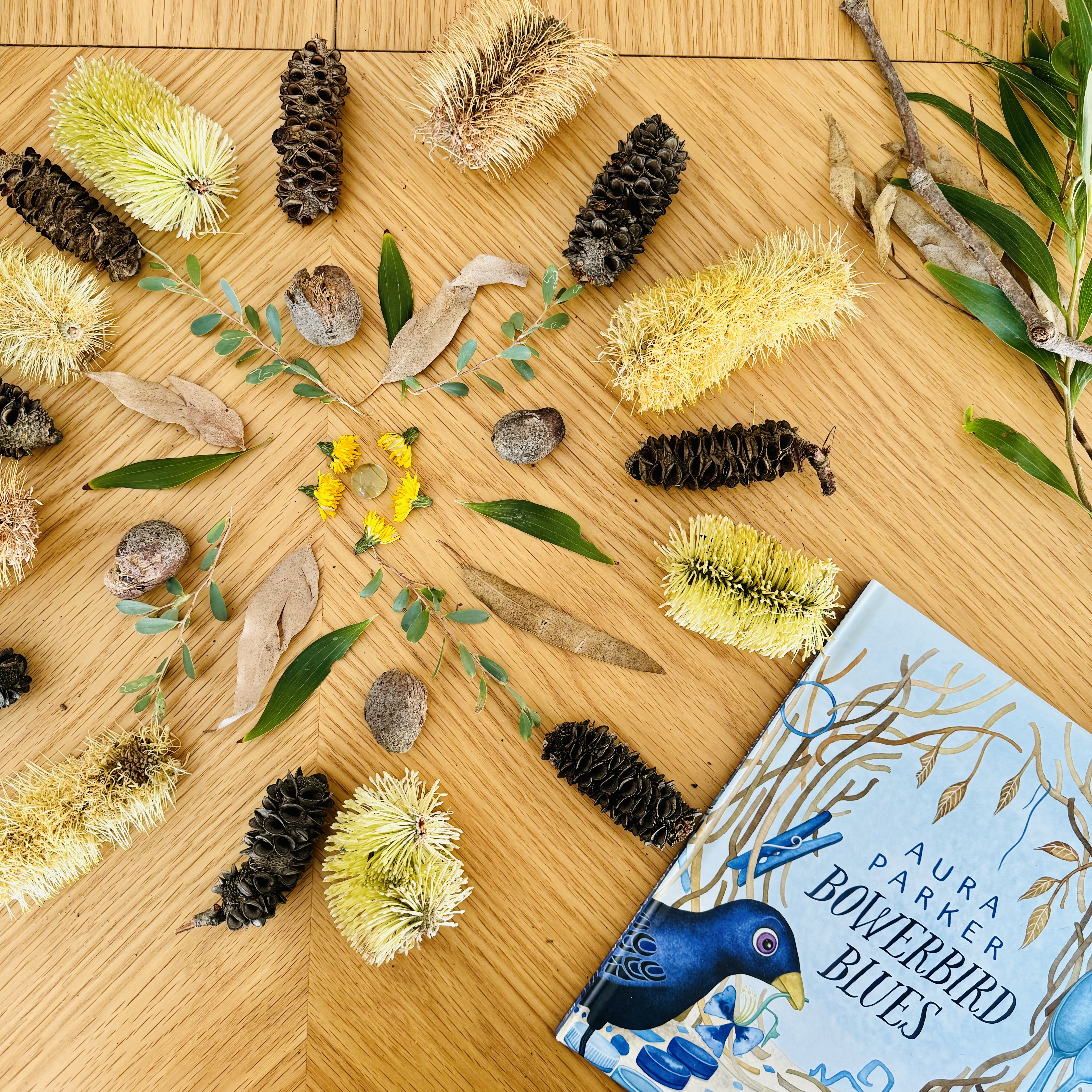 CB2--IMG-Kate T--National Simultaneous Storytime 2024 - Exploring Mandalas-