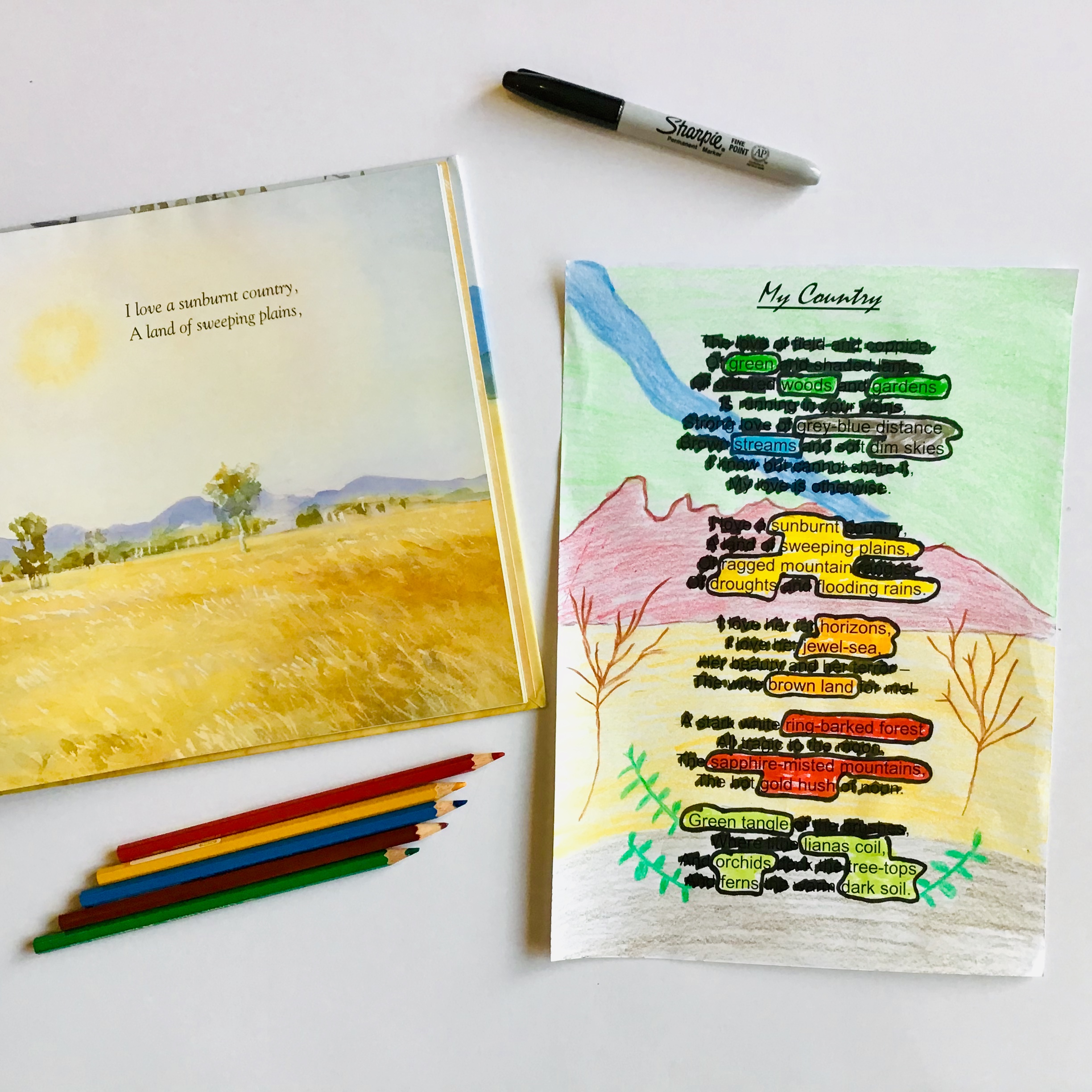 A fun reading lesson for grades 5 and 6 students that explores bushfires through picture books, poetry and visual literacy. This lesson uses the Classic Poem ‘My Country’ by Dorothea Mackellar and invites students to create their own found poem using keywords or phrases. 