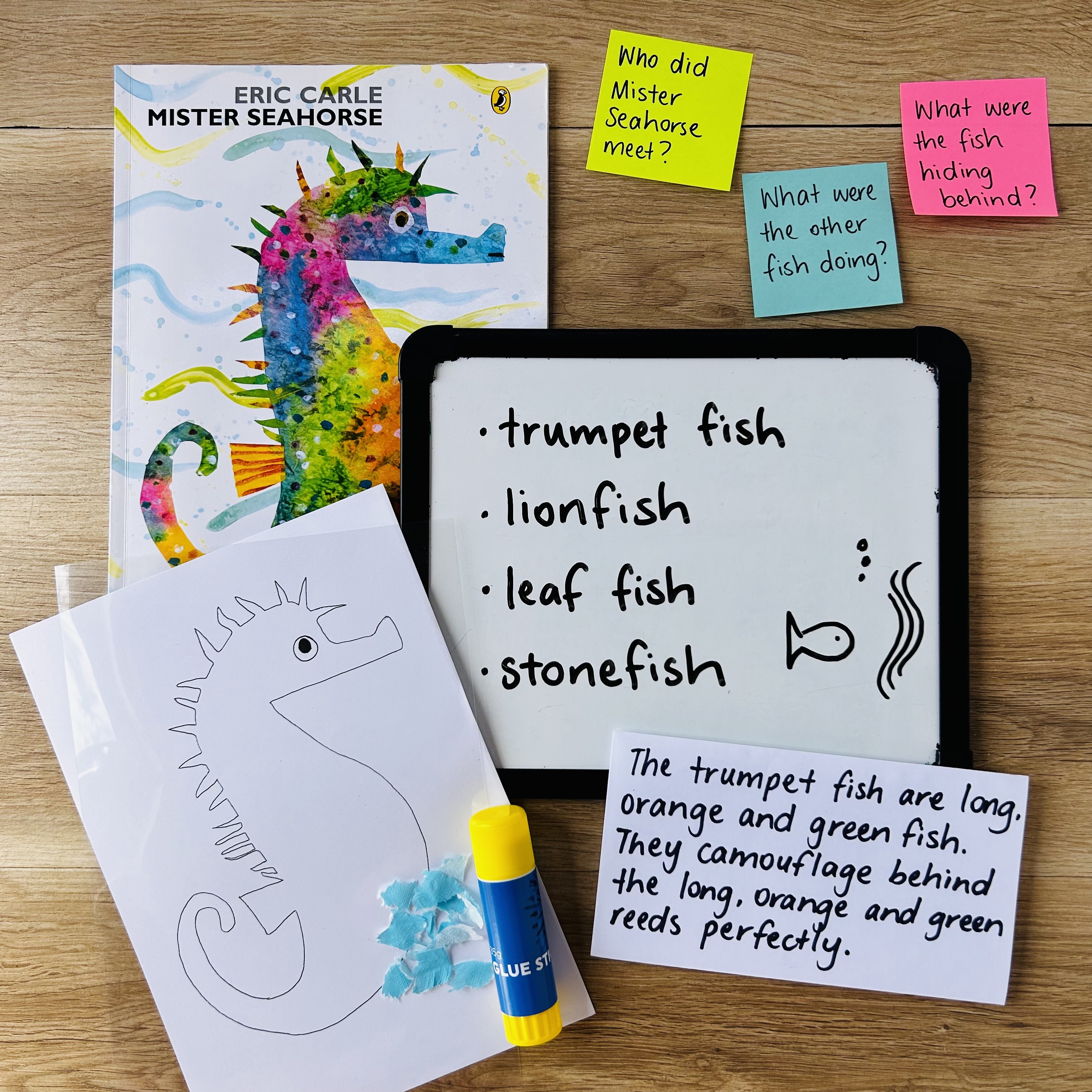 CB2--IMG-Olivia--Mister Seahorse Book Investigation - Camouflage Art Lesson-L6