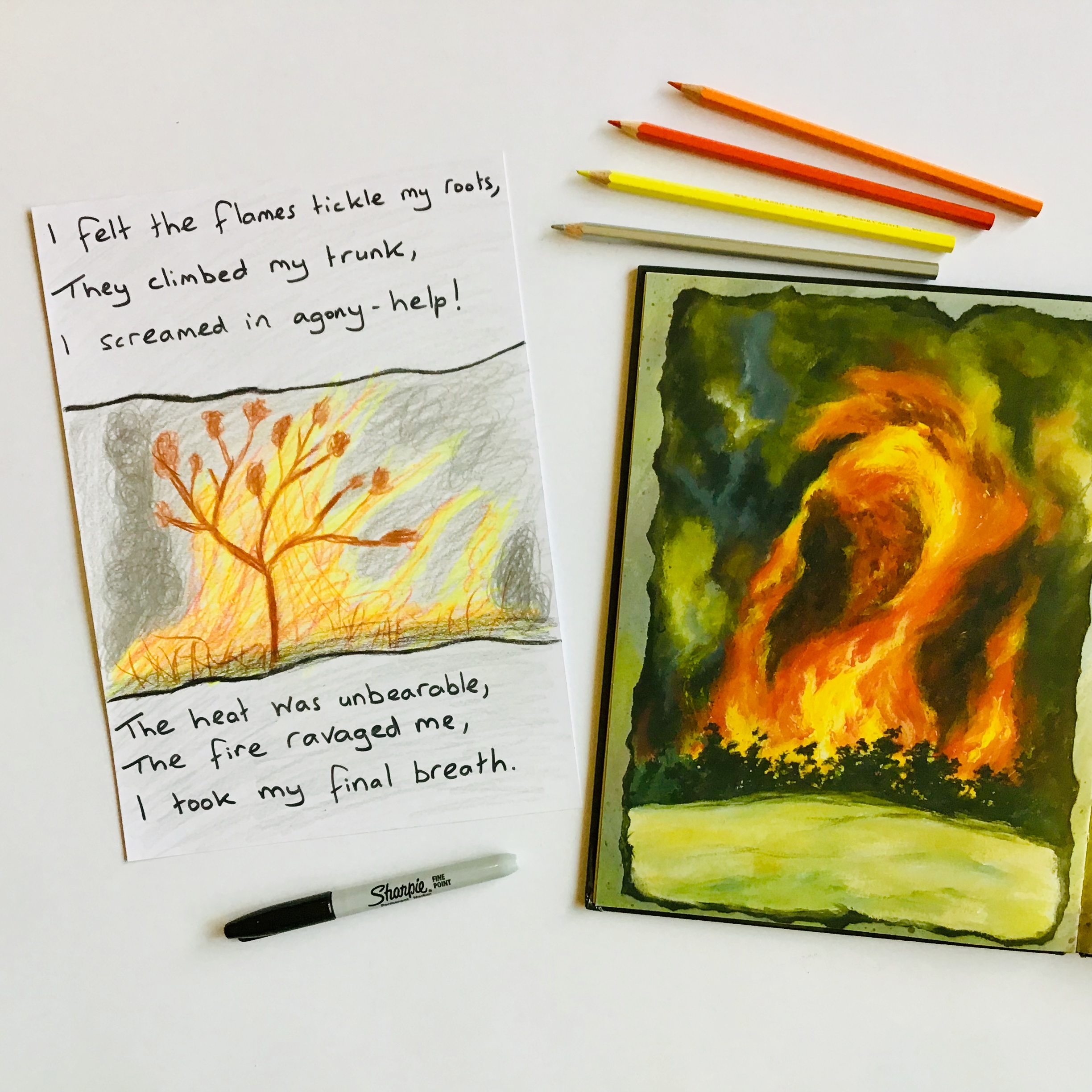 A fun reading lesson for grades 5 and 6 students that explores bushfires through picture books and visual literacy. This lesson explores telling stories from different perspectives.