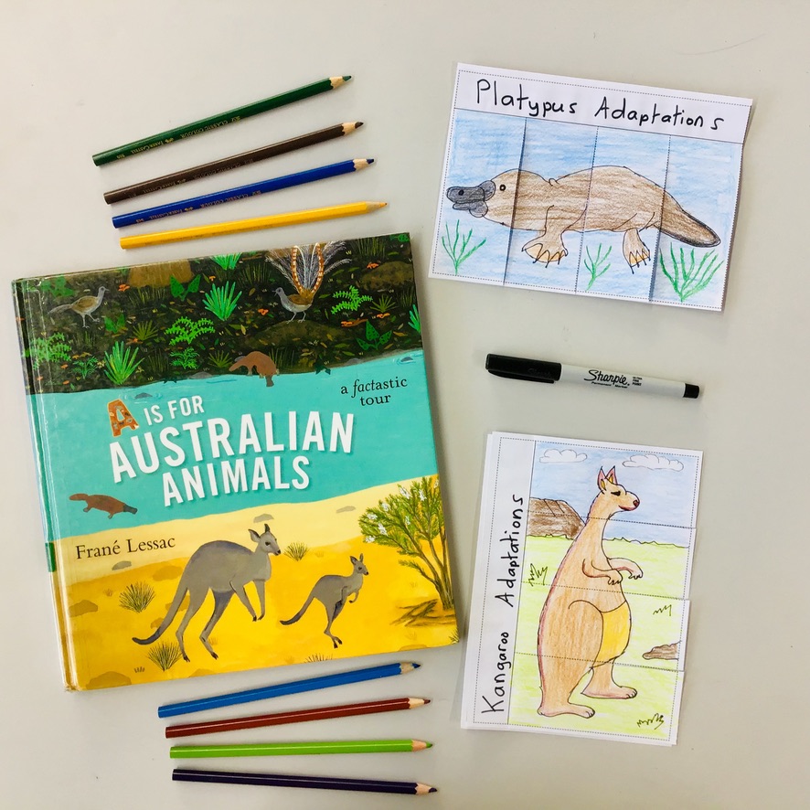 A fun reading lesson for grade 5 students that explores animal adaptations. This lesson focuses on the structural adaptations of Australian animals.