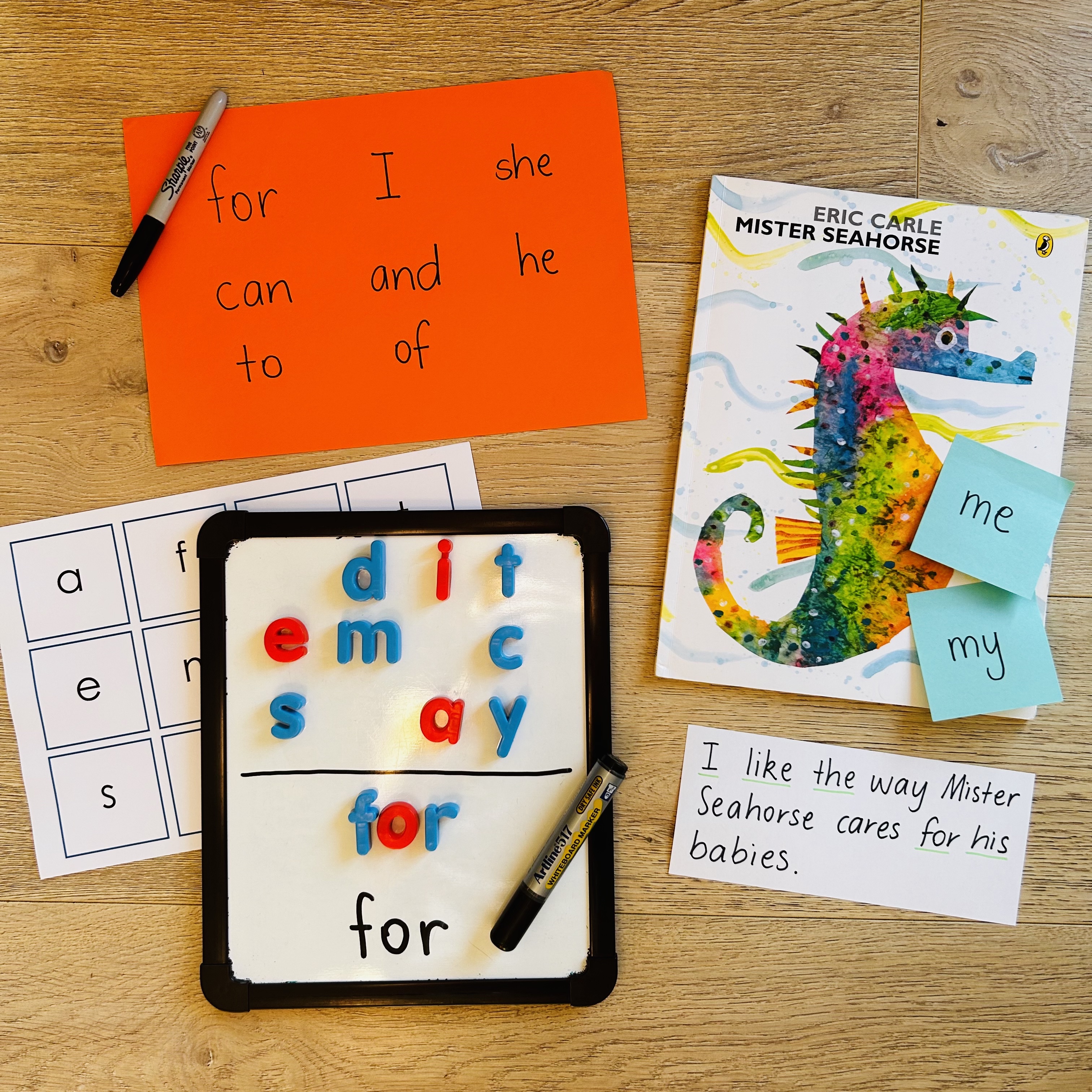 CB2--IMG-Olivia--Mister Seahorse Book Investigation - High-Frequency Sight Words-L2