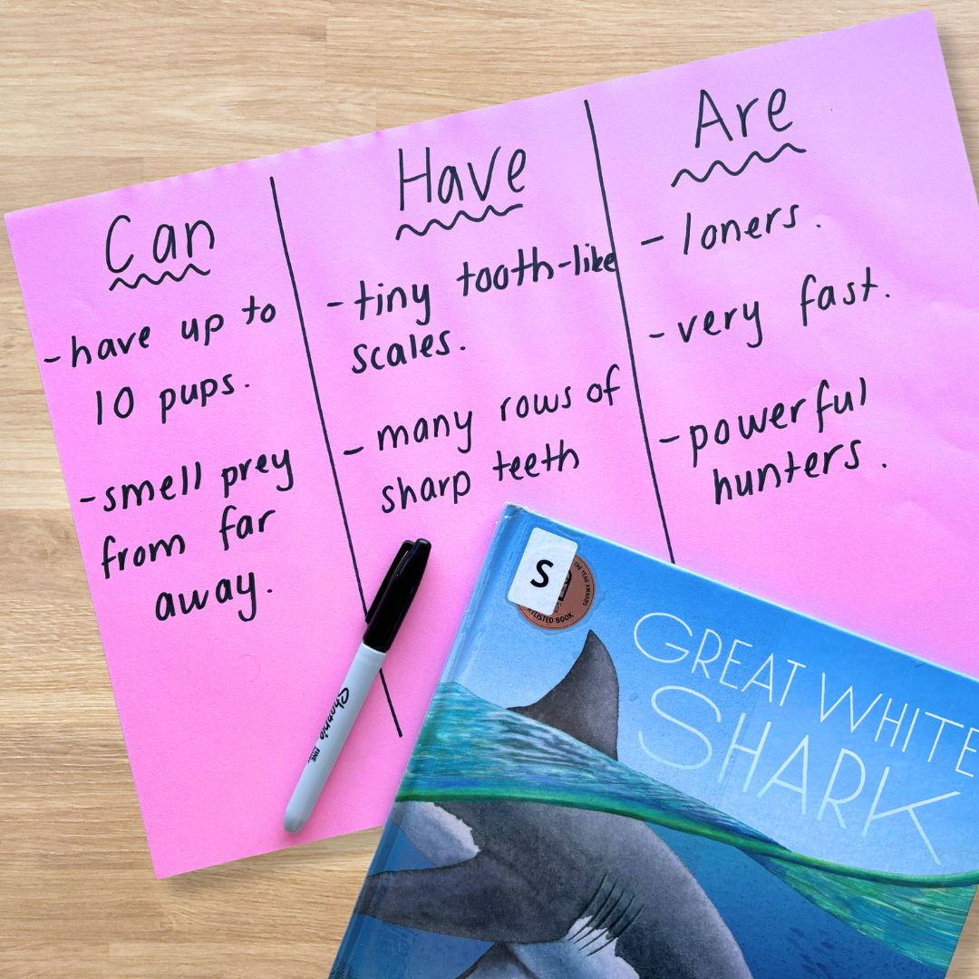 CB2--IMG-Tamara--Let-s Dive Into Writing - Can, Have, Are Sentences-L5