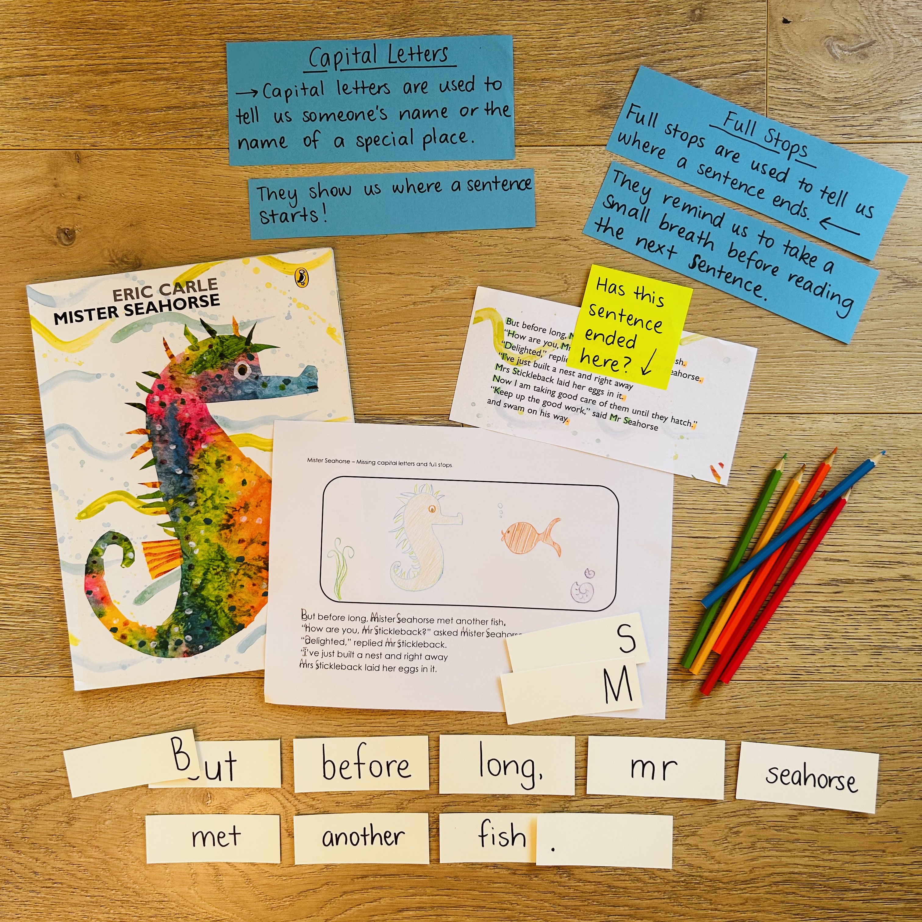 CB2--IMG-Olivia--Mister Seahorse Book Investigation - Capital Letters and Full Stops-L1