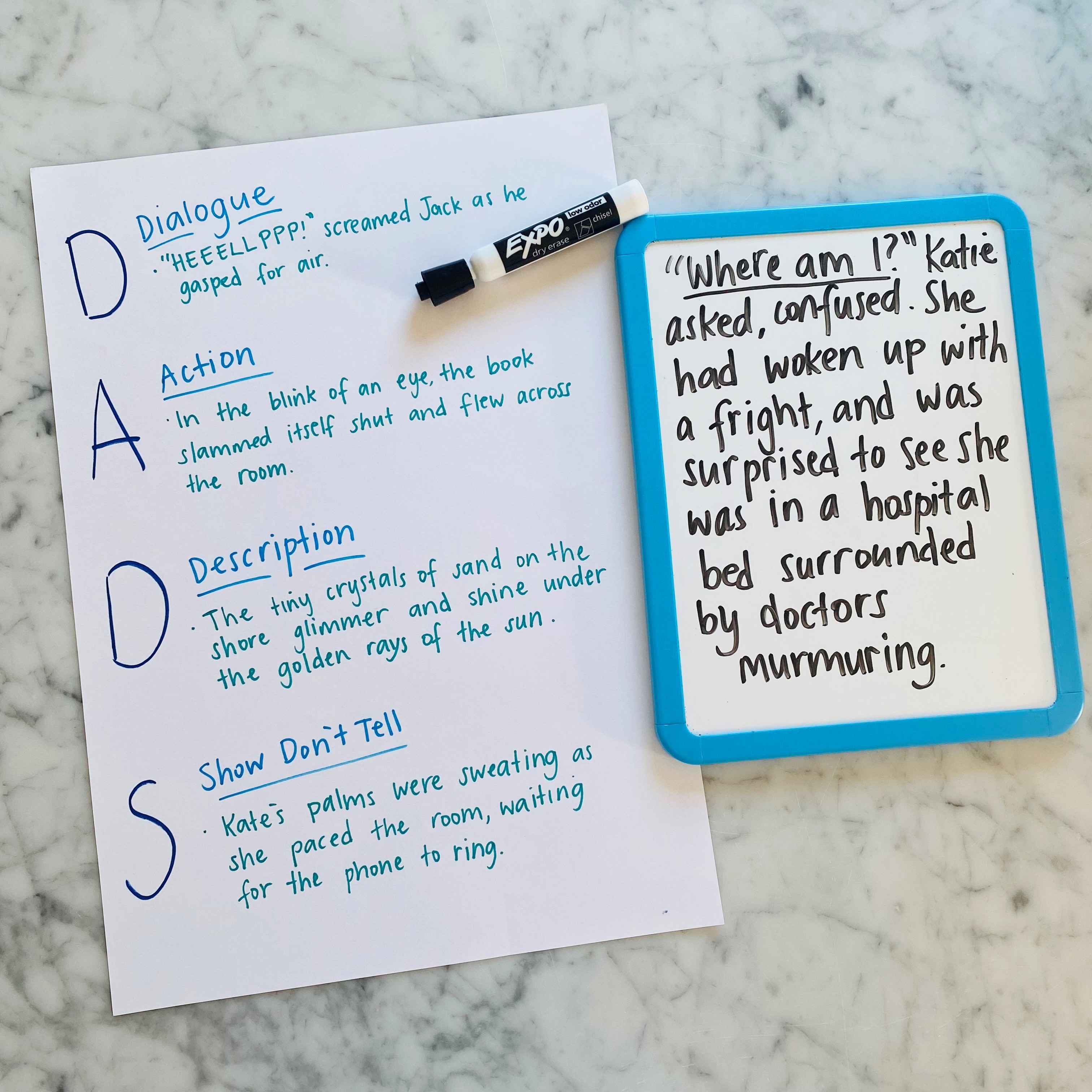 CB2-BOOK-FNF-IMG-Annie--Enhancing Narratives With DADS - Description-L3 square